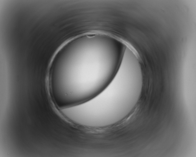 X0000099991100200805231039