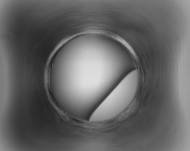 X0000099991101200805231039