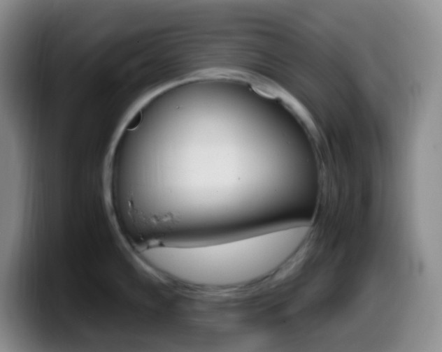 X0000099991102200805231039