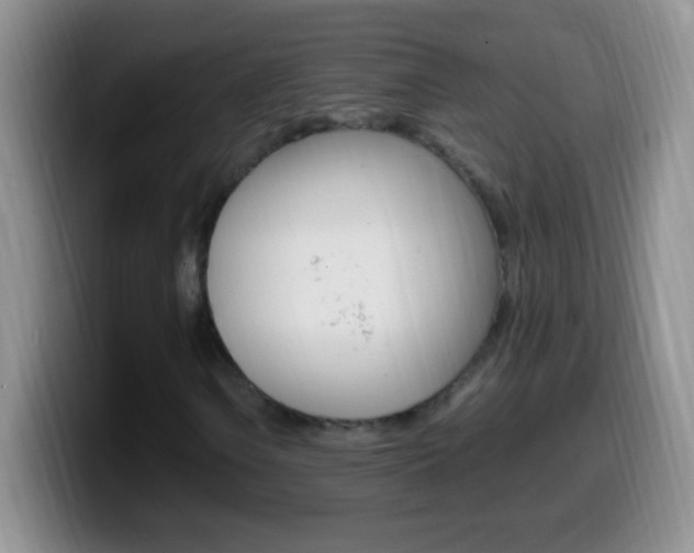 X0000099991106200805231038