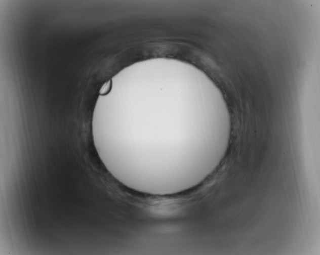 X0000099991109200805231038