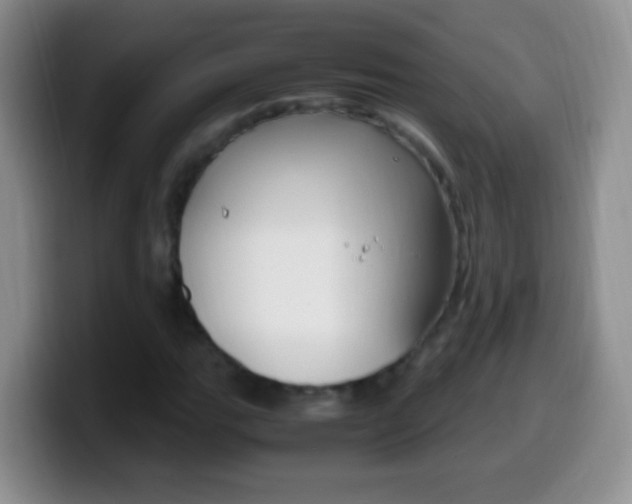 X0000099991111200805231038
