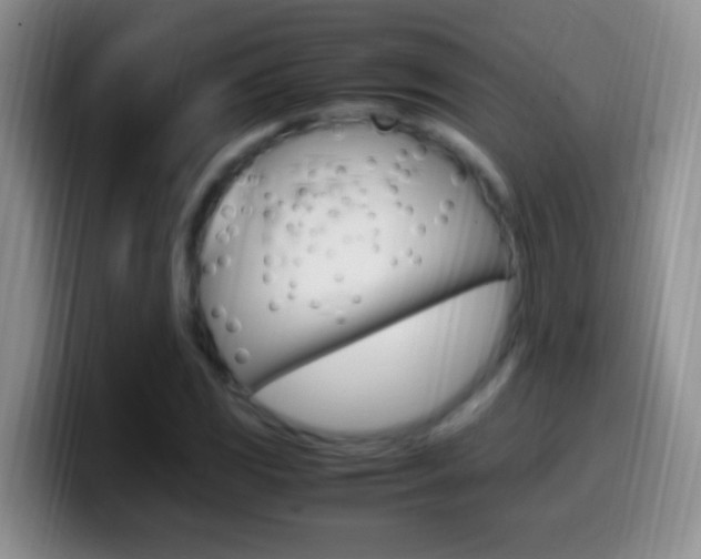 X0000099991117200805231038