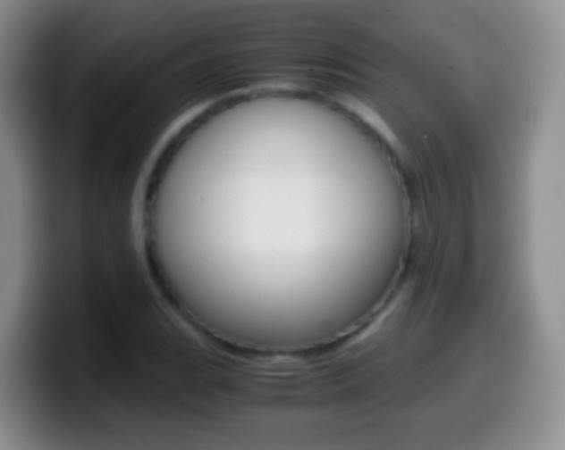 X0000099991119200805231038