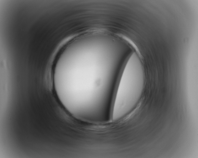 X0000099991123200805231038