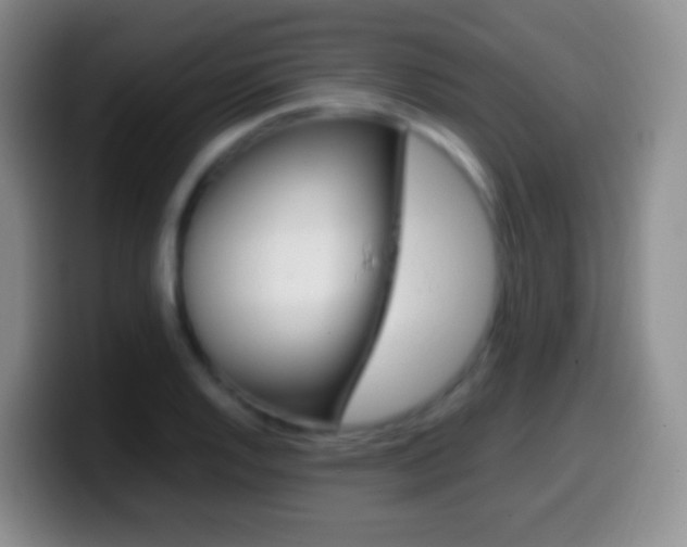 X0000099991128200805231038