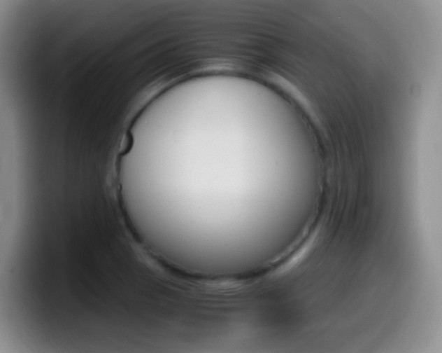 X0000099991129200805231038