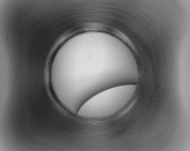 X0000099991130200805231038