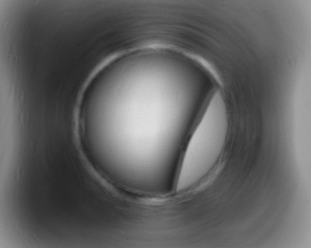 X0000099991134200805231038