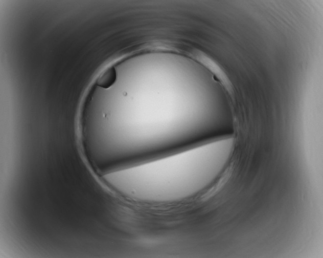 X0000099991141200805231038
