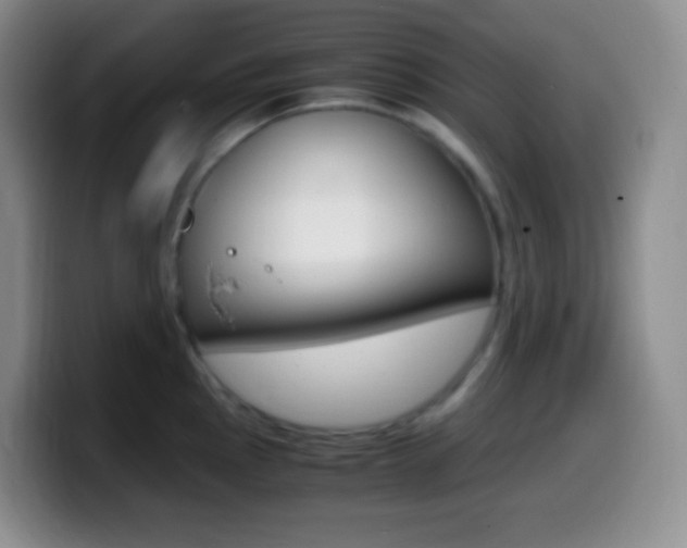 X0000099991145200805231038