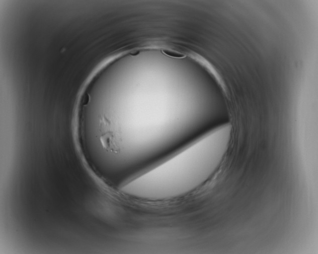 X0000099991147200805231038