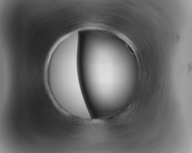 X0000099991152200805231039