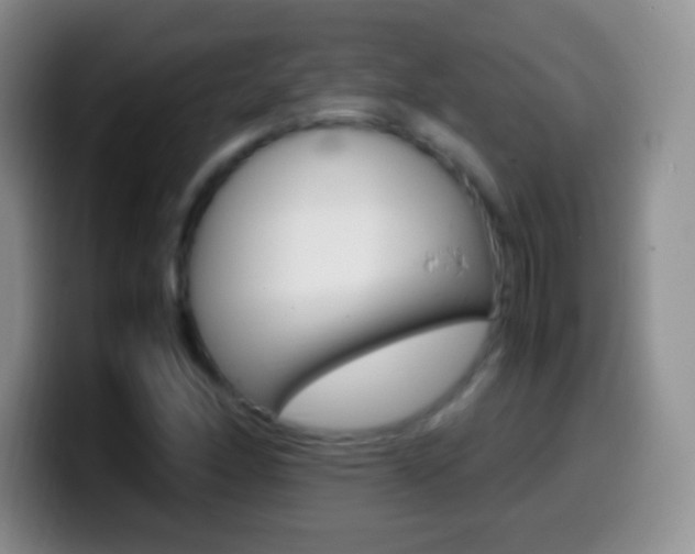 X0000099991166200805231038