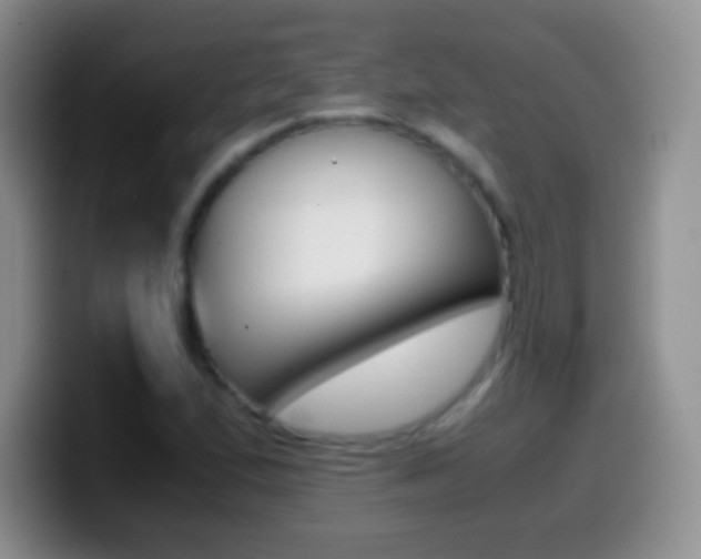 X0000099991167200805231038
