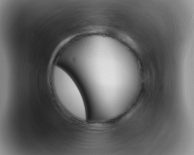 X0000099991172200805231038