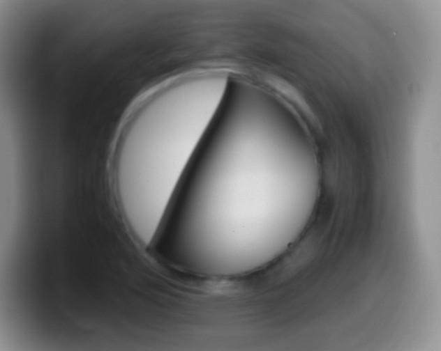 X0000099991176200805231038