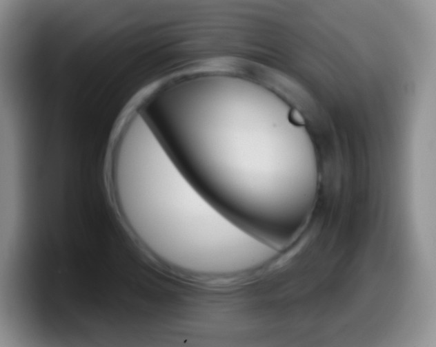 X0000099991180200805231038