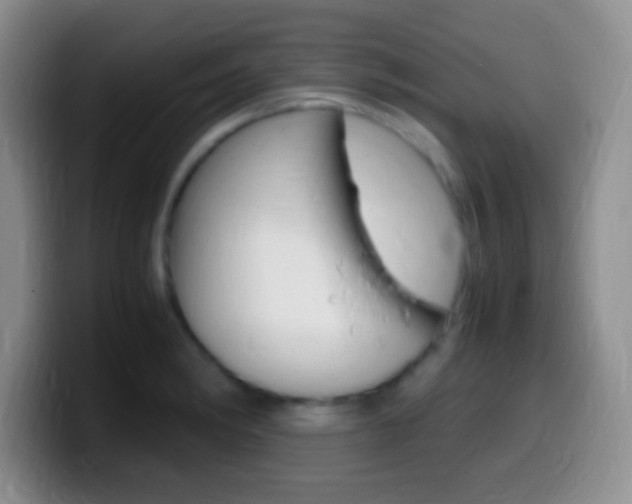 X0000099991182200805231037