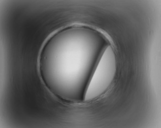 X0000099991183200805231037