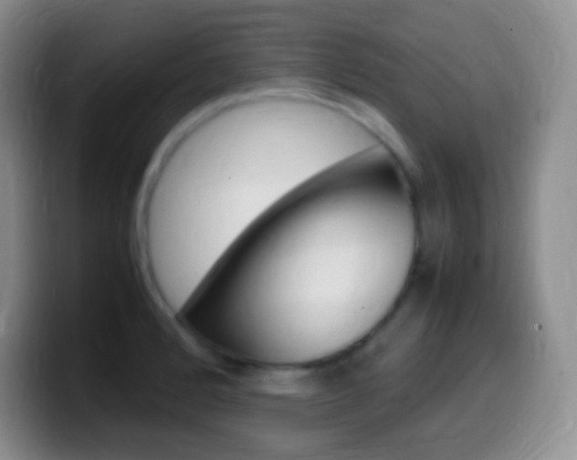 X0000099991184200805231037