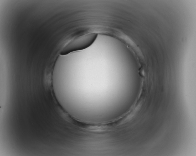 X0000099991185200805231037
