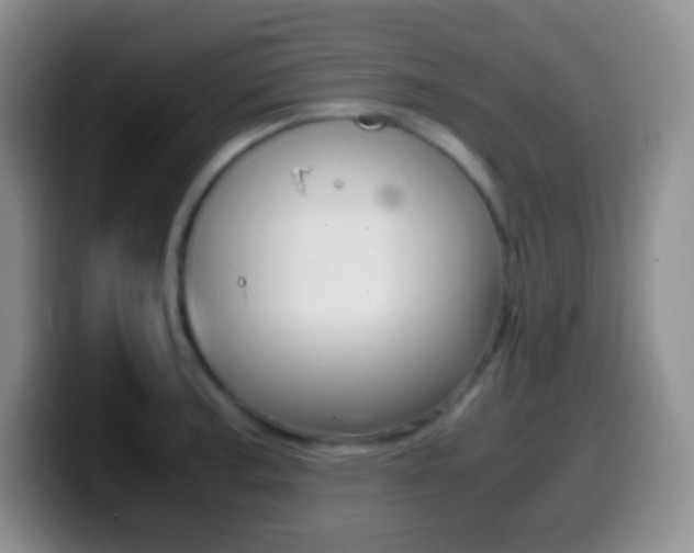 X0000099991187200805231037
