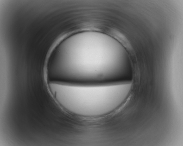X0000099991188200805231037