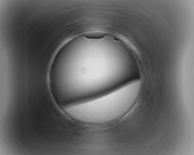 X0000099991189200805231037