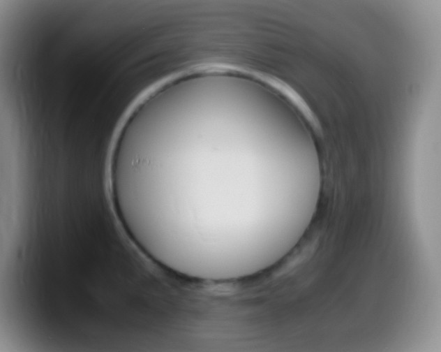 X0000099991191200805231037