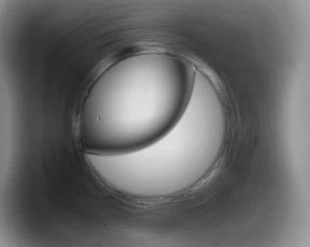 X0000099991193200805231037