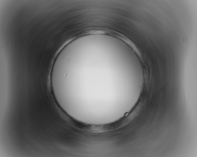 X0000099991194200805231037