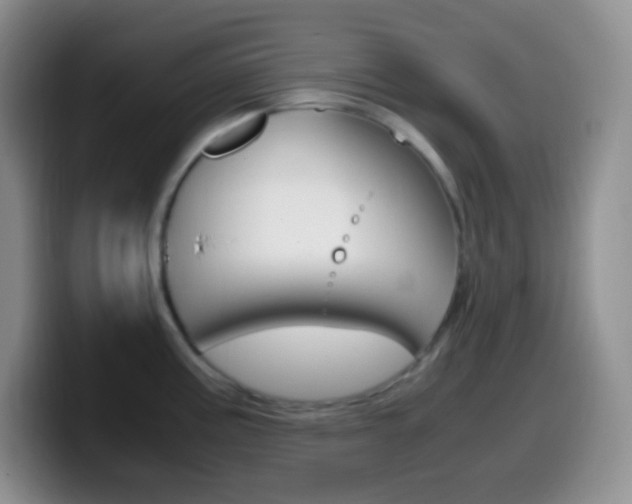 X0000099991195200805231037