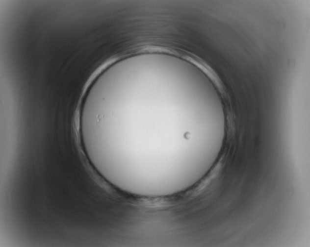 X0000099991198200805231037