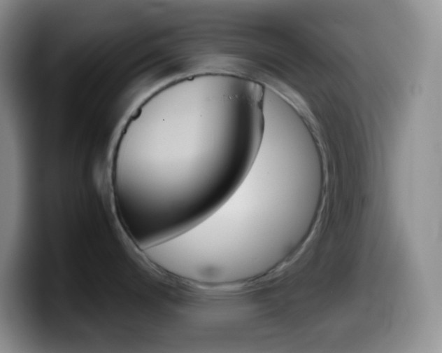 X0000099991200200805231037