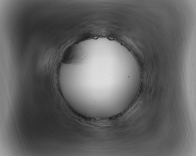 X0000099991201200805231037