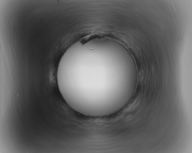 X0000099991202200805231037