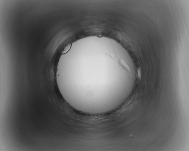 X0000099991203200805231037
