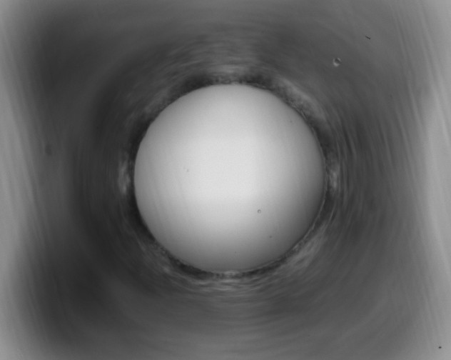 X0000099991204200805231037