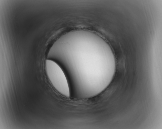X0000099991205200805231037