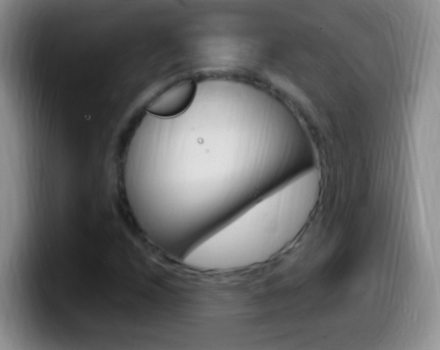 X0000099991208200805231037
