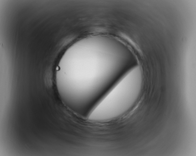 X0000099991213200805231037