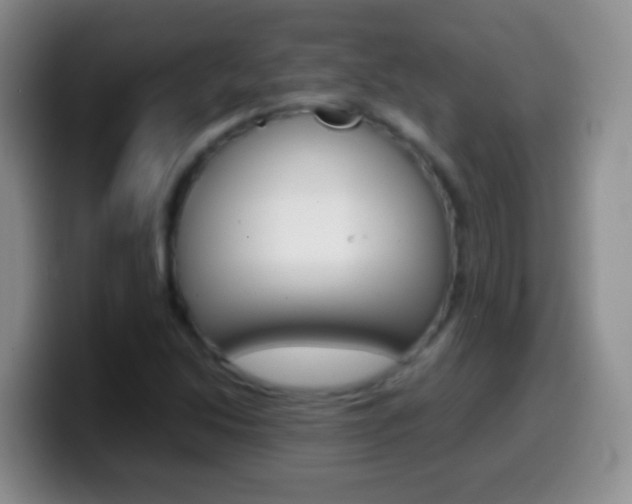 X0000099991214200805231037