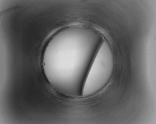 X0000099991216200805231037