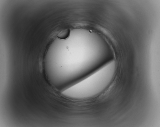 X0000099991217200805231037