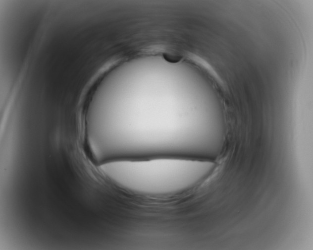 X0000099991219200805231037