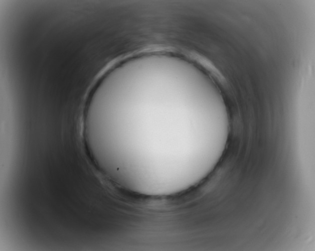 X0000099991220200805231037