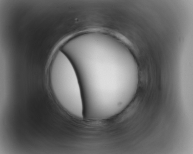 X0000099991223200805231037