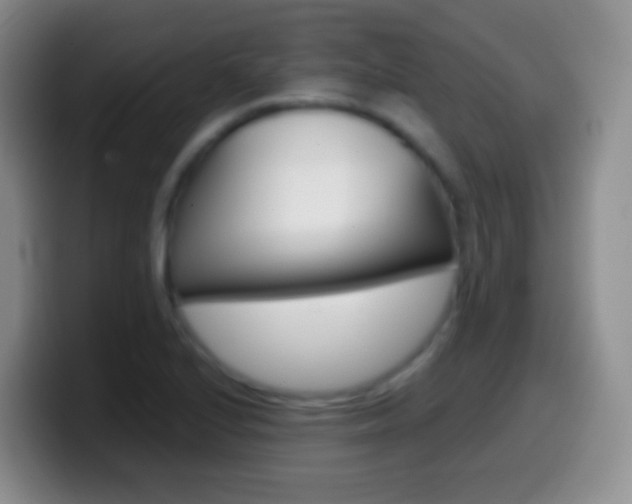 X0000099991224200805231037