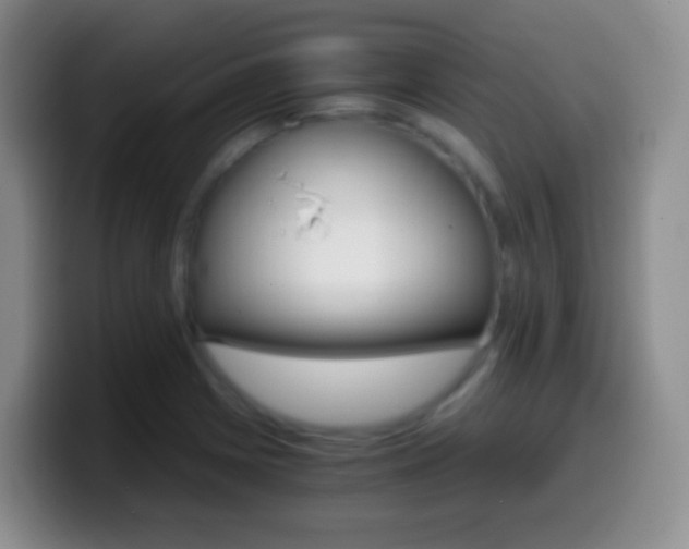 X0000099991225200805231037